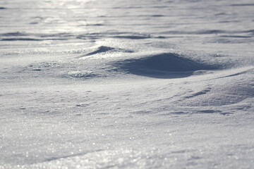 Winter landscape, snow shines in the sun