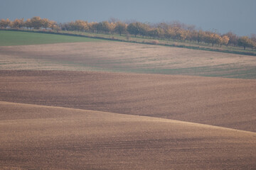 Stunning undulating arable agricultural landscape, photographed in autumn in south Moravia in the Czech Republic. The area is known as Moravian Tuscany and is full of rolling hills used for farming.