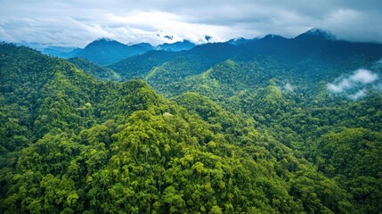 Lush green mountain range with clouds in the distance, seen from an aerial perspective.