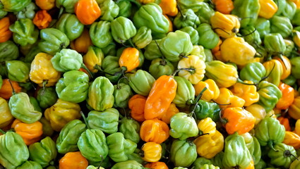 fresh vegetables on a farmer market at zanzibar © chriss73