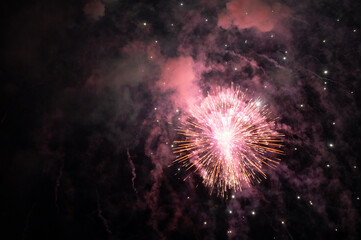 Fototapeta premium close-up firework in the night of the 4th of july
