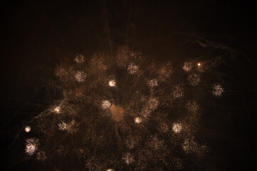 close-up firework in the night of the 4th of july