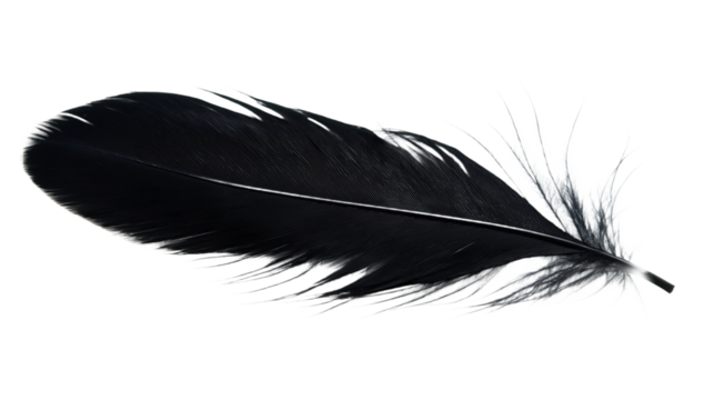 Black feather isolated on transparent background. Glossy surface reflects light. Close-up view of single feather, smooth, fluffy, and fragile. Long, pointed end points towards top left corner. - Powered by Adobe