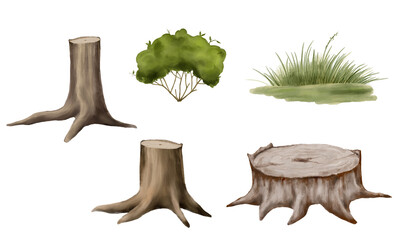 Old tree stumps. Watercolor digital illustration. Tree trunk cross section with roots, isolated on white background. Set of tree stumps and a small lush bush. Grass on a green meadow