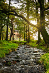Beautiful autumnal landscape in Lake District National Park. England, UK