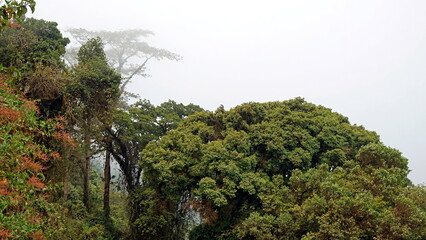 scenic landscape at the ngorongoro crater