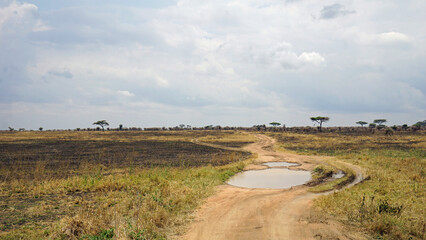 scenic landscape in the serengeti