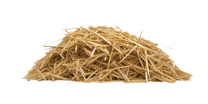 Close-up of hay pile on isolated transparent background, neatly arranged in pyramid shape. Light brown hay composed of individual straws varying in length and direction, creating texture. Alpha mask.