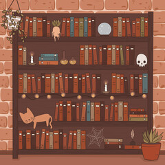 Cute hand drawn illustration with vintage cartoon cosy bookshelves with books, cat, candles, skull, potion, crystal ball and mandrake plant