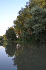 Trees reflected in the water