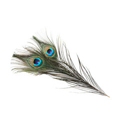 Obraz premium Two beautiful peacock feathers isolated on white