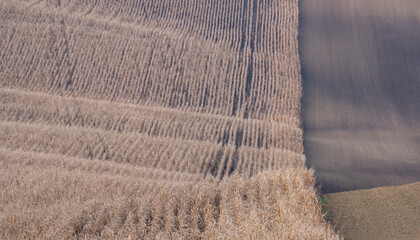 Stunning undulating arable agricultural landscape, photographed in autumn in south Moravia in the Czech Republic. The area is known as Moravian Tuscany and is full of rolling hills used for farming.