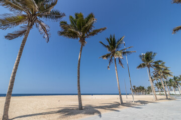 Palm lined beach at corniche promenade in Jeddah, Saudi Arabia