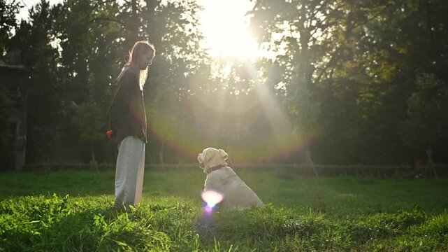 
A blonde girl is playing on a walk with her dog. A Labrador and a girl are having fun on vacation. A dog trainer is engaged with Labradors in the park
