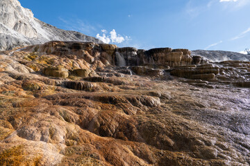 Yellowstone National Park