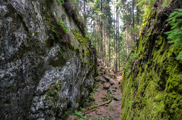 Tranquil forest trail surrounded by dense greenery and large moss-covered rocks of Dovbush...