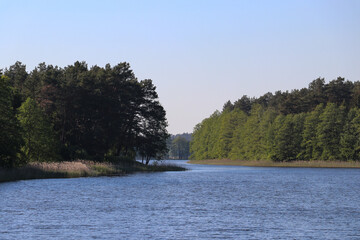 View of Lake Wydmińskie and the trees surrounding it, Wydminy, Poland, Warmian-Masurian Voivodeship