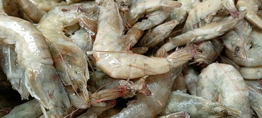 fresh fish in the market