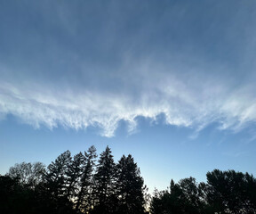 blue sky with clouds and forest