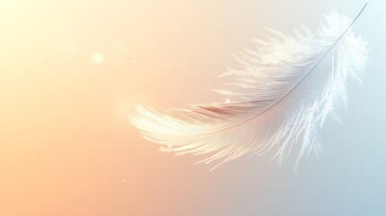 Obraz premium Single white feather on a soft colorful background.