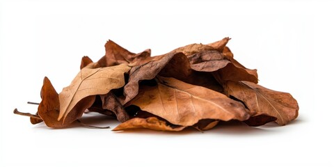 Fototapeta premium A pile of autumn leaves isolated on a white background 