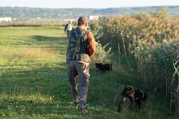 Mature hunter man holding a shotgun and walking through a field