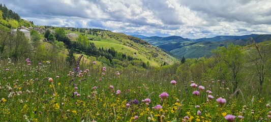 Point de vue sur Barre-des-Cévennes et la vallée Française © Arnaud