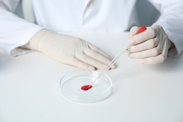 Laboratory testing. Doctor dripping blood sample into Petri dish at table indoors, closeup