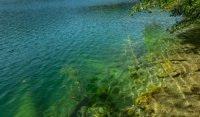 Calm lake reflection with green foliage. The tranquil transparent waters of lake in the background. Nature. Landscape Reflection off of a clear lake water. Summer natural landscape with a lake.