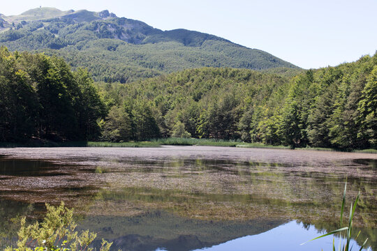 A beautiful landscape at Lagastrello