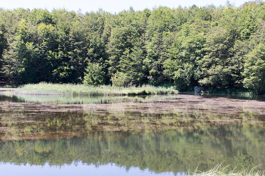 A beautiful landscape at Lagastrello