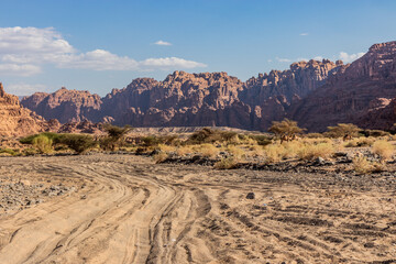 Sandy track through Wadi Disah canyon, Saudi Arabia