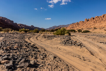 Sandy tracks in Wadi Disah canyon, Saudi Arabia © Matyas Rehak