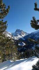 A majestic view of snow-covered mountains under a clear blue sky, with pine trees in the foreground, conveying a sense of tranquility.