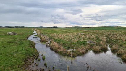 Fototapeta premium Tourbières et sognes sur l'Aubrac au printemps