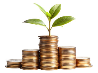 Plant Growing on Coins - Symbol of Financial Growth isolated on white background as transparent. PNG. AI GENERATED