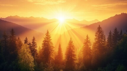 Golden rays shining over a mountain forest at sunset, casting a warm glow through the dense trees