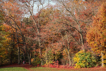 Herbst Wanderung Erlangen
