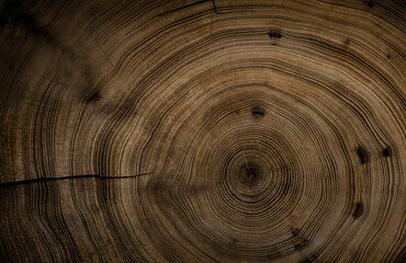 Circular detail of tree rings pattern cut wood texture. Dark brown stained ring pattern from a...