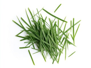 Fototapeta premium Fresh green grass isolated on white background. Close-up of rich blades of grass, with brown spots and stem. Vibrant green color stands out against white background.