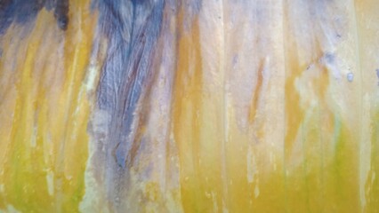 abstract watercolor background with splashes