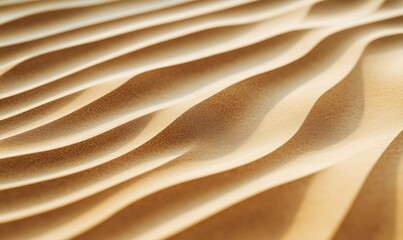 Obraz premium A close-up shot of rippled desert sands, showcasing the intricate patterns shaped by the wind
