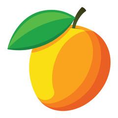 mango vector  on white background