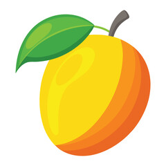 mango vector  on white background