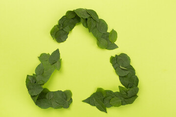 Recycling symbol made from green leaves on color background, top view