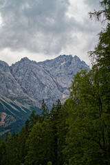 Scenic Mountain Landscape with Lush Forest