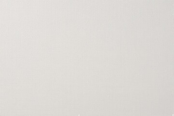 Fototapeta premium Crisp White Textured Canvas Paper Background Design
