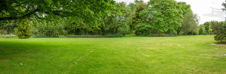 Panoramic background texture of a well-maintained green space in a public park with trees providing...