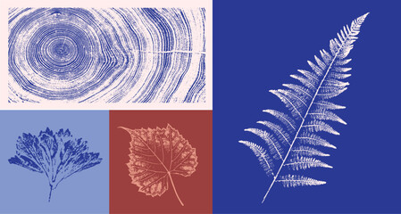 Decorative leaf sketch and wood block prints. Monotone pink and blue botanical tree rings and leaves impression print.