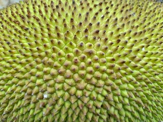 close up of durian